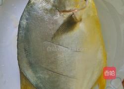 香焖金鲳鱼的做法图解2