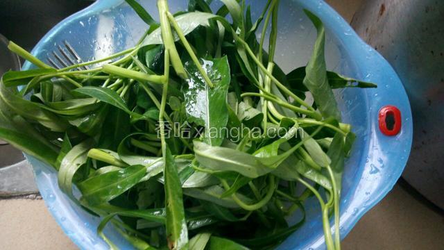 空心菜摘去老的叶子和头，洗净待用