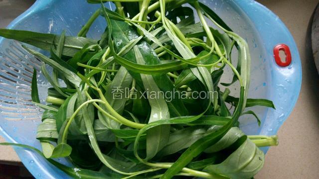 空心菜洗净待用