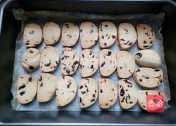 蔓越莓饼干的做法图解10
