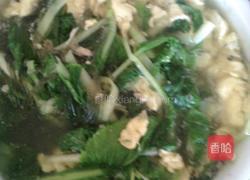 鸡蛋青菜粉丝汤的做法图解7