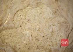 胡萝卜馅素包子的做法图解9