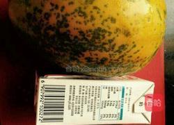 红枣木瓜炖牛奶的做法图解1