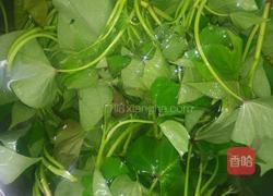 辣炒苕藤尖的做法图解1