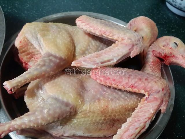 两只乳鸽洗净后待用。
