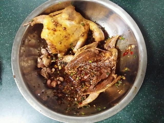 将已凉的乳鸽放进腌制的佐料盆里，来回拌匀，并用勺子舀一些佐料在肚子里。并在鸽子胸脯肉厚的地方用刀切开一条口，这里也可舀入一些佐料。
