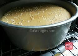 戚风蛋糕(八寸)的做法图解16