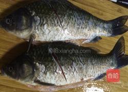 鲫鱼豆腐汤的做法图解7