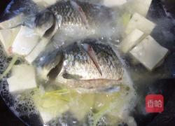鲫鱼豆腐汤的做法图解11