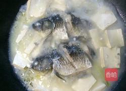 鲫鱼豆腐汤的做法图解12