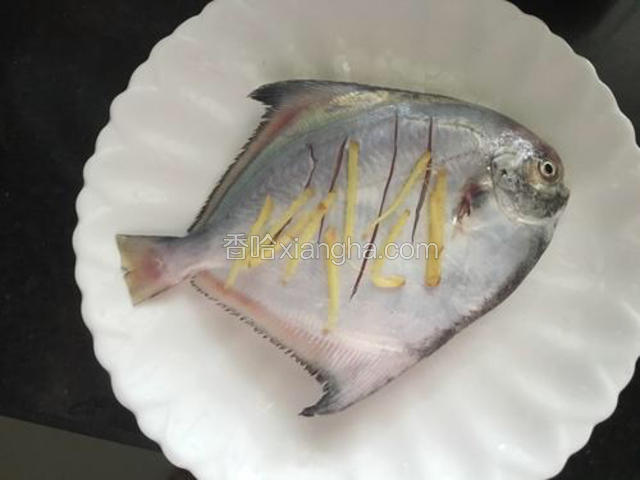 海鲳鱼洗净，两面切切切 切几刀，三片姜切丝，鱼底部、鱼腹、鱼表面各放些姜丝，去腥