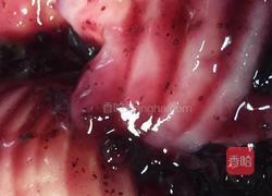 蓝莓雪梨的做法图解7