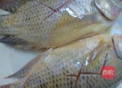 清蒸罗非鱼的做法图解3