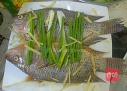 清蒸罗非鱼的做法图解4