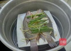 清蒸罗非鱼的做法图解5