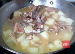 白萝卜炖羊排的做法图解13