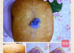 双色紫薯枸杞手撕吐司面包的做法图解15