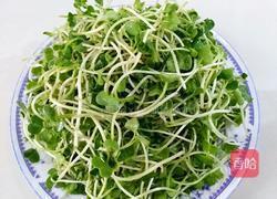 红辣椒拌萝卜苗的做法图解3