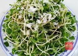 红辣椒拌萝卜苗的做法图解4