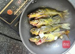 黄丫鱼烧豆腐的做法图解2