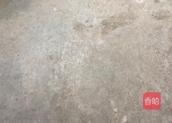 红豆椰汁西米露的做法图解1