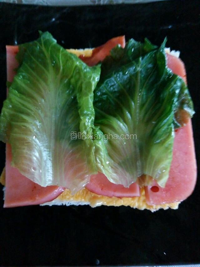 选两片嫩生菜，洗净后用开水略烫，铺在火腿片上。