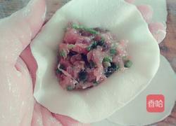 驴肉蒸饺的做法图解6
