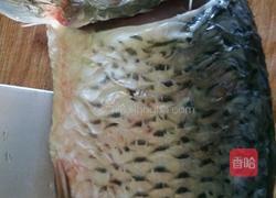 椒麻鱼片的做法图解1