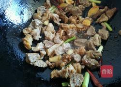 红烧羊肉胡萝卜的做法图解9