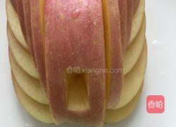 准备起飞的红天鹅的做法图解9