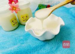 自制酸奶的做法图解6