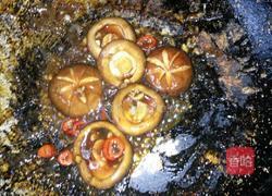 香菇油菜的做法图解10