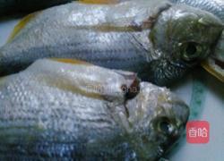 炸海鱼的做法图解4