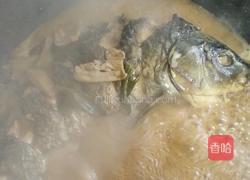 家常炖鲤鱼的做法图解4