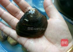 河蚬汤的做法图解2