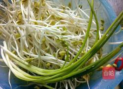 葱香豆芽的做法图解1