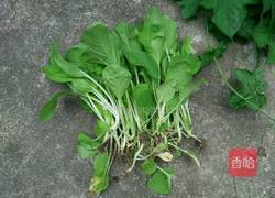 清炒小白菜的做法图解1
