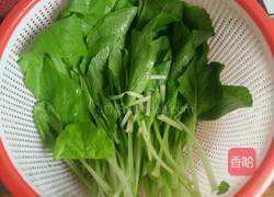 清炒小白菜的做法图解3