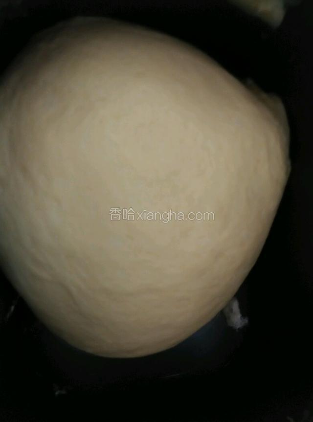所有食材和成面团，室内静置一小时