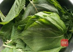 凉拌苏叶的做法图解1