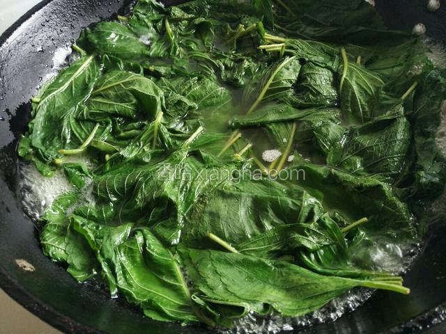 锅内放水烧开，苏叶焯水，这季节苏叶有点老煮多一会