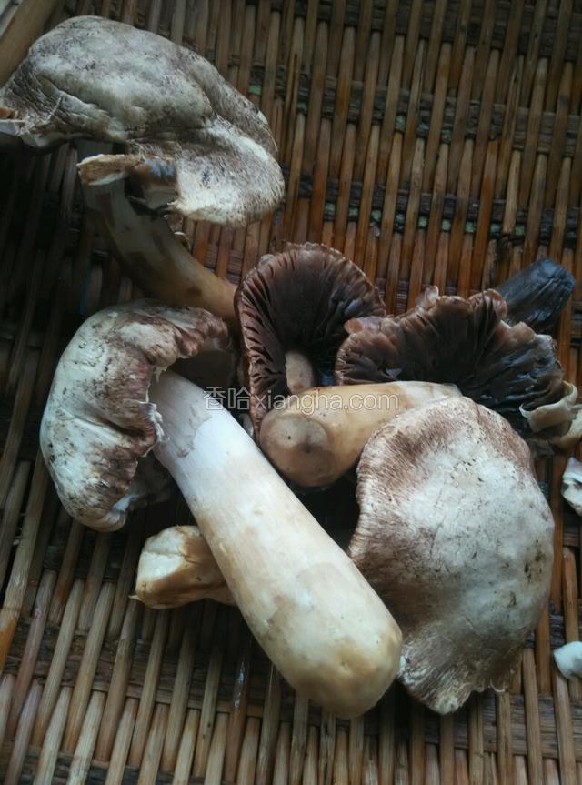 我也说第一次见