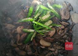 青椒巴西菇的做法图解7