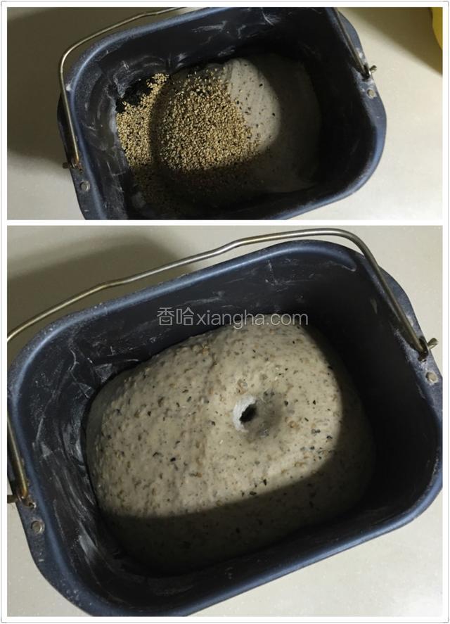 最后几分钟加入花椒叶碎和芝麻搅拌均匀，面包桶上盖上湿毛巾常温发酵两2倍大；