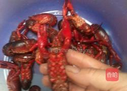 卤煮龙虾的做法图解2