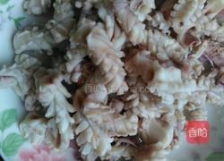 洋葱炒鱿鱼卷的做法图解5