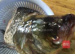 豆参煮鱼头的做法图解1