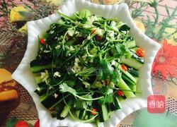 凉拌拍黄瓜的做法图解6