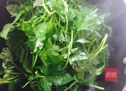 蒜泥红薯苗的做法图解4