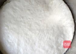 苋菜猪肉包子的做法图解1